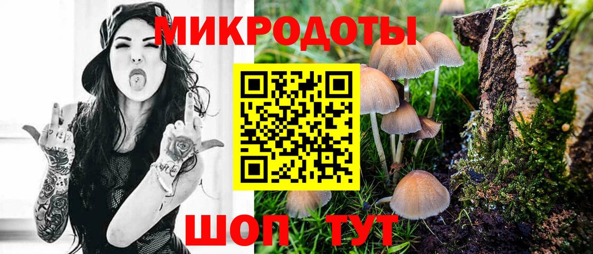 Псилоцибиновые грибы мицелий  Вход с VPN  Ефремов 